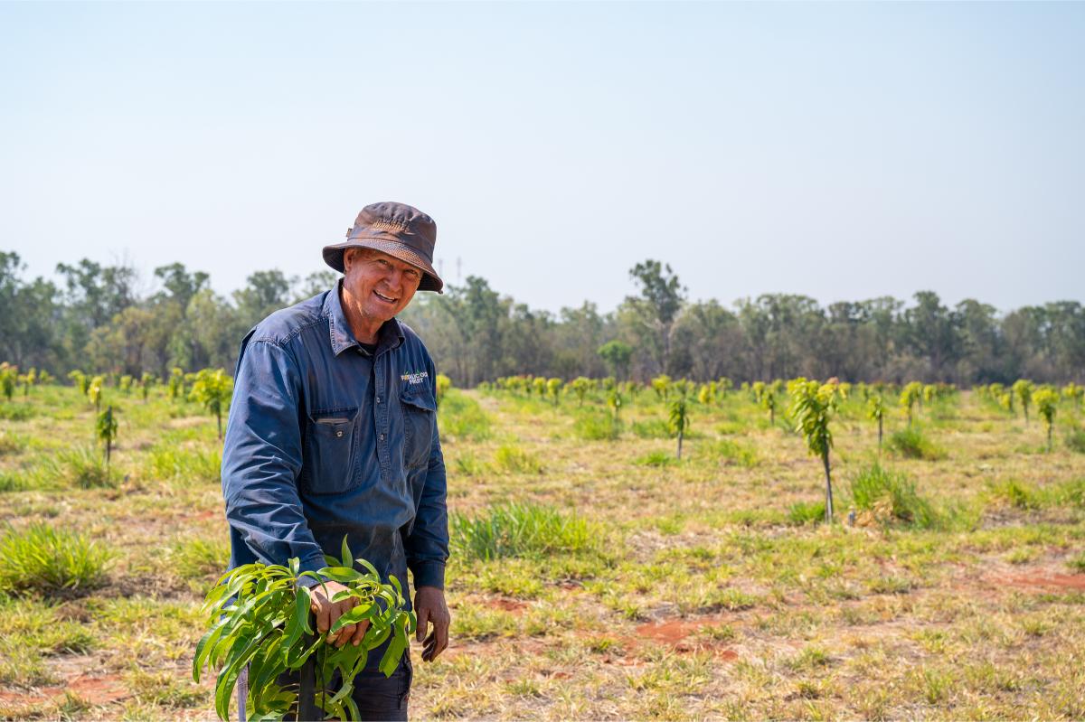 Planting trees