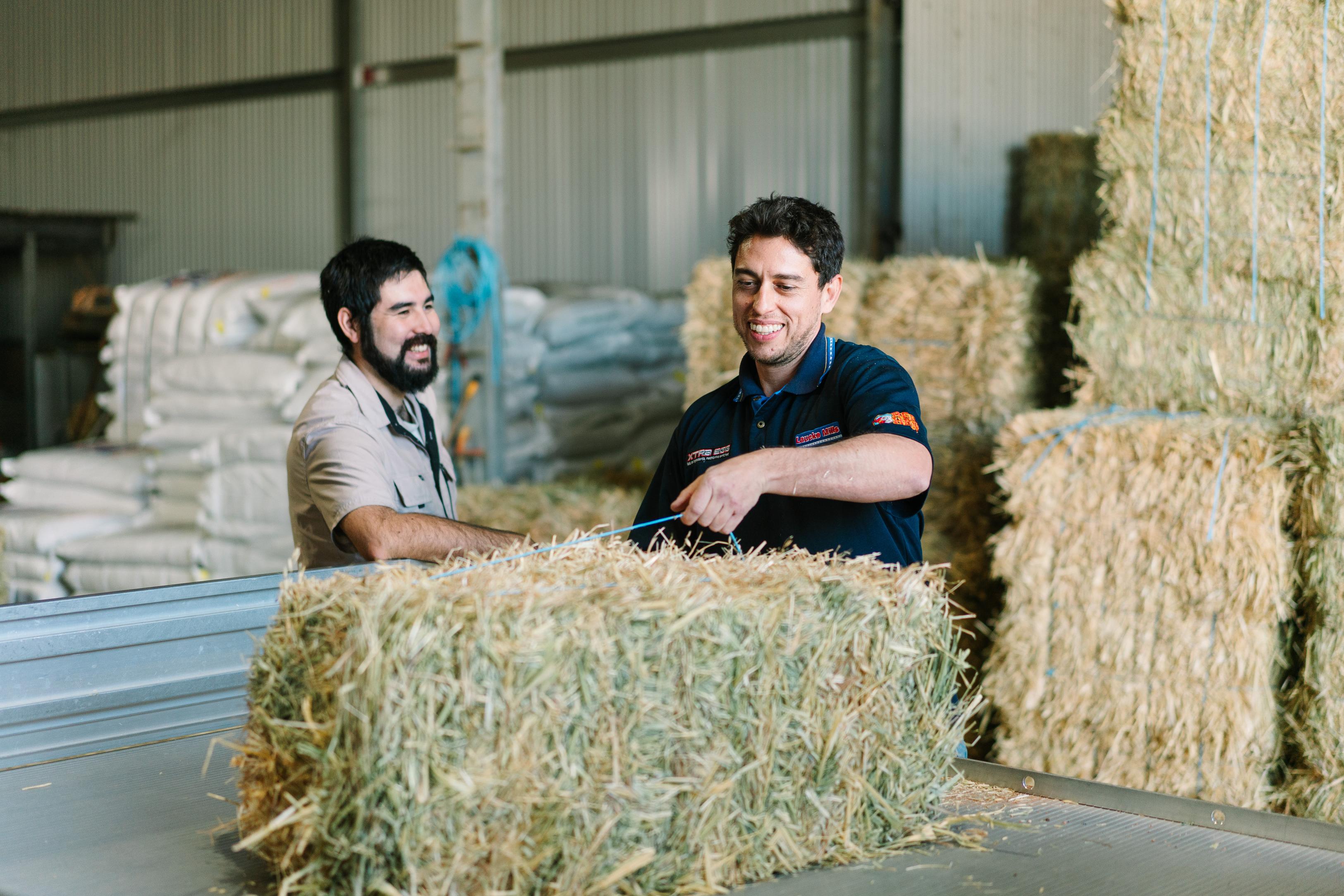 Storing hay bales