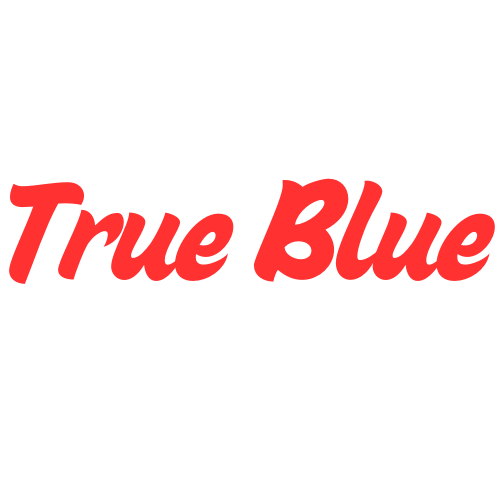 True Blue IT Services